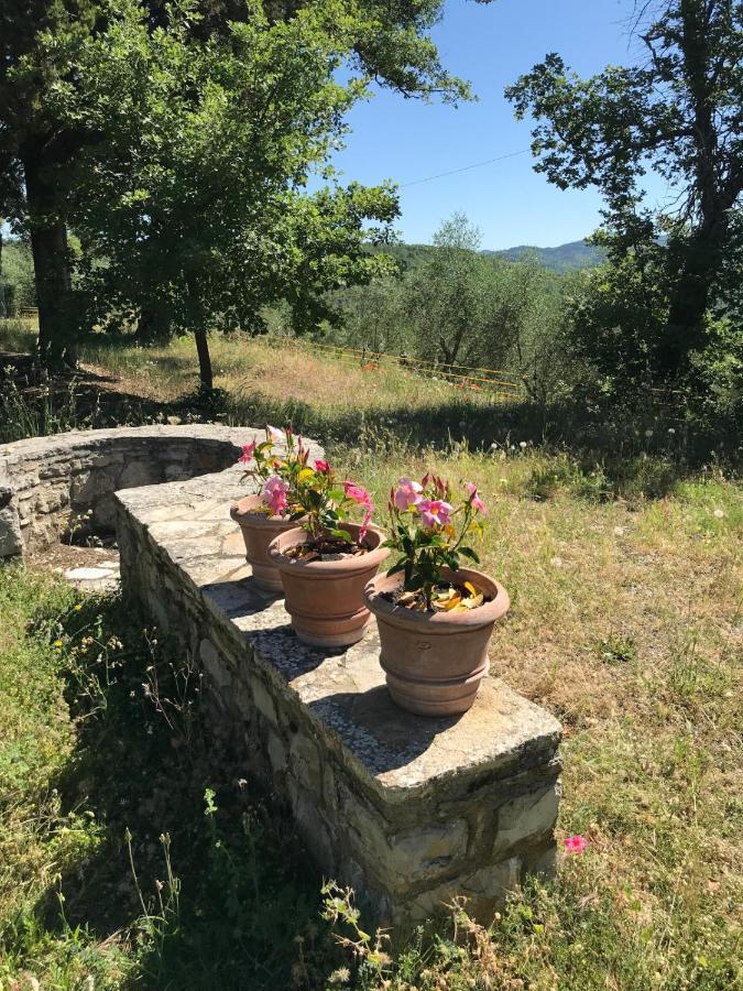 Casanova Di Ricavo Villa Gaiole in Chianti Exteriör bild